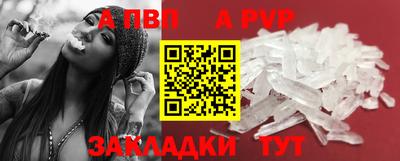 стафф Будённовск