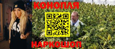 индика Волгодонск