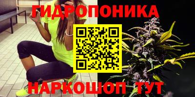 стафф Будённовск